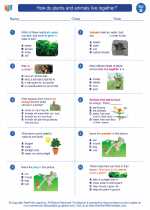 Science - Second Grade - Worksheet: How do plants and animals live together?