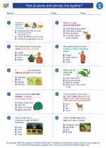 Science - Second Grade - Worksheet: How do plants and animals live together?