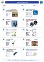 Science - Second Grade - Worksheet: Mammals and birds