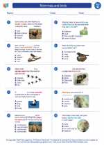 Science - Second Grade - Worksheet: Mammals and birds