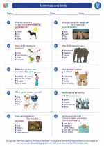 Science - Second Grade - Worksheet: Mammals and birds