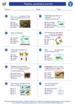 Science - Second Grade - Worksheet: Reptiles, amphibians and fish