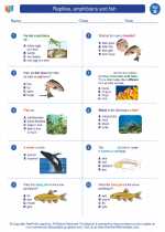 Science - Second Grade - Worksheet: Reptiles, amphibians and fish
