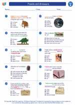 Science - Second Grade - Worksheet: Fossils and dinosaurs