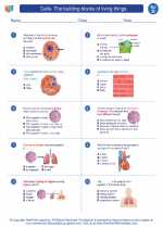 Science - Fourth Grade - Worksheet: Cells- The building blocks of living things