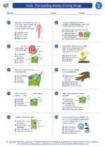 Science - Fourth Grade - Worksheet: Cells- The building blocks of living things