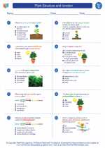 Plant Structure And Function 4th Grade Science Worksheets And Answer Keys Study Guides And Vocabulary Sets