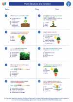 Science - Fourth Grade - Worksheet: Plant Structure and function