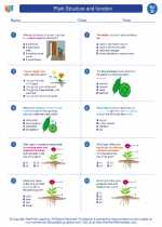 Plant Structure And Function 4th Grade Science Worksheets And Answer Keys Study Guides And Vocabulary Sets