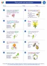 Science - Fourth Grade - Worksheet: Plant growth and reproduction