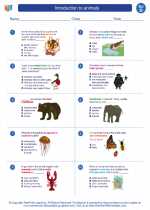 Science - Fourth Grade - Worksheet: Introduction to animals