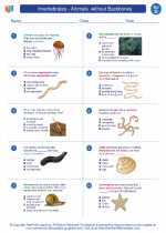 Science - Fourth Grade - Worksheet: Invertebrates - Animals  without Backbones
