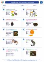 vertebrates animals with backbones 4th grade science worksheets and answer keys study guides and vocabulary sets