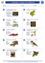 Science - Fourth Grade - Worksheet: Vertebrates - Animals  with  Backbones