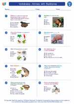 Science - Fourth Grade - Worksheet: Vertebrates - Animals  with  Backbones
