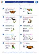 Science - Fourth Grade - Worksheet: Animal Growth and Reproduction