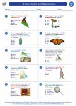 Science - Fourth Grade - Worksheet: Animal Growth and Reproduction