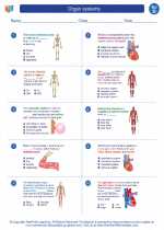 Science - Fourth Grade - Worksheet: Organ systems