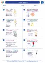 Science - Fourth Grade - Worksheet: Organ systems