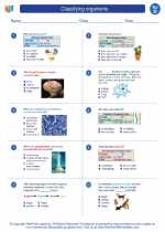 Science - Fourth Grade - Worksheet: Classifying organisms