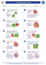 Science - Fifth Grade - Worksheet: Cells, tissues and organs