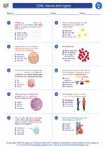 Science - Fifth Grade - Worksheet: Cells, tissues and organs