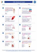 Science - Fifth Grade - Worksheet: Cells, tissues and organs