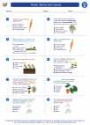Science - Fifth Grade - Worksheet: Roots, Stems and Leaves
