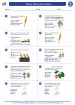 Science - Fifth Grade - Worksheet: Roots, Stems and Leaves