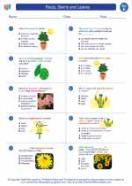 Science - Fifth Grade - Worksheet: Roots, Stems and Leaves