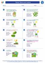 Science - Fifth Grade - Worksheet: Roots, Stems and Leaves