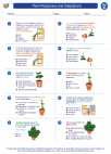 Science - Fifth Grade - Worksheet: Plant Responses and Adaptations