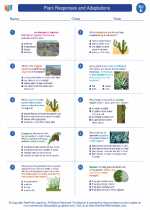 Science - Fifth Grade - Worksheet: Plant Responses and Adaptations