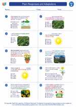 Science - Fifth Grade - Worksheet: Plant Responses and Adaptations