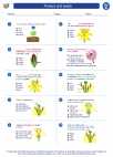 Science - Fifth Grade - Worksheet: Flowers and seeds