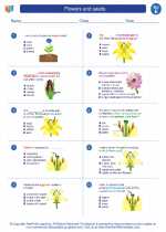 flowers and seeds 5th grade science worksheets and answer keys study guides and vocabulary sets