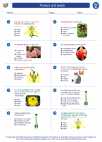 Science - Fifth Grade - Worksheet: Flowers and seeds