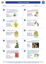 Science - Fifth Grade - Worksheet: Flowers and seeds