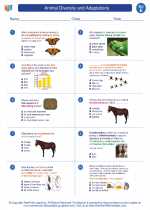 Science - Fifth Grade - Worksheet: Animal Diversity and Adaptations