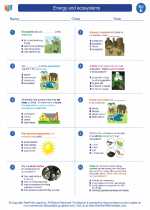 energy and ecosystems 5th grade science worksheets and answer keys study guides and vocabulary sets