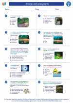 Science - Fifth Grade - Worksheet: Energy and ecosystems