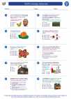Science - Sixth Grade - Worksheet: Earth's energy resources