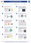 Science - Seventh Grade - Worksheet: The Sun-Earth-Moon System