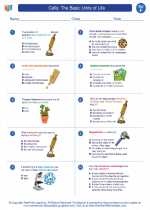 Science - Sixth Grade - Worksheet: Cells: The Basic Units of Life