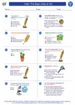 Science - Sixth Grade - Worksheet: Cells: The Basic Units of Life