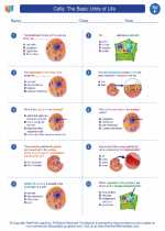 Science - Sixth Grade - Worksheet: Cells: The Basic Units of Life