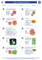 Science - Sixth Grade - Worksheet: Cells: The Basic Units of Life