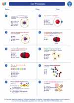 Science - Seventh Grade - Worksheet: Cell Processes