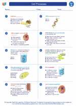 Science - Seventh Grade - Worksheet: Cell Processes