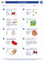 Science - Seventh Grade - Worksheet: Cell Processes